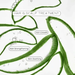 All Natural Aloe Vera Hair And Body Oil -Zero Waste Store live like you green it dropper top all natural aloe vera hair and body oil 33604716822639