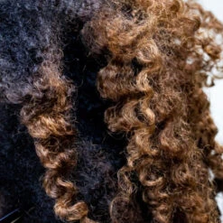 All Natural Aloe Vera Hair And Body Oil -Zero Waste Store live like you green it dropper top all natural aloe vera hair and body oil 33604716855407