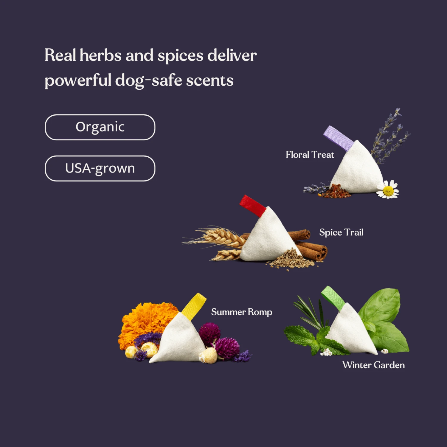 Essentials Scent Training Kit For Dogs 6 Essentials Scent Training Kit For Dogs - Image 6