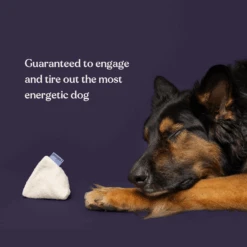 Starter Scent Training Kit For Dogs -Zero Waste Store longsock starter dog scent training kit 59592984101233