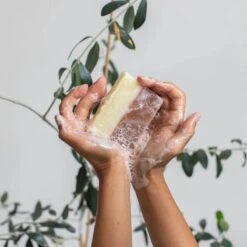 Pink Rose Clay Facial Soap