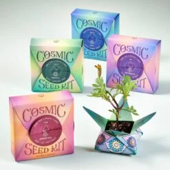 Cosmic Seed Kit