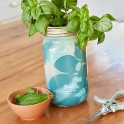 Herb Jar And Hydroponic Grow Kit -Zero Waste Store modern sprout herb jar and hydroponic grow kit 33993098166383