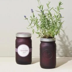Herb Jar And Hydroponic Grow Kit -Zero Waste Store modern sprout lavender herb jar and hydroponic grow kit 33993095839855