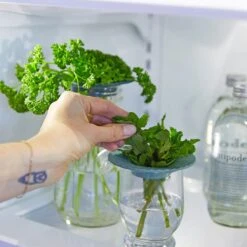 Produce Keepers -Zero Waste Store modern sprout produce keepers 33273019727983