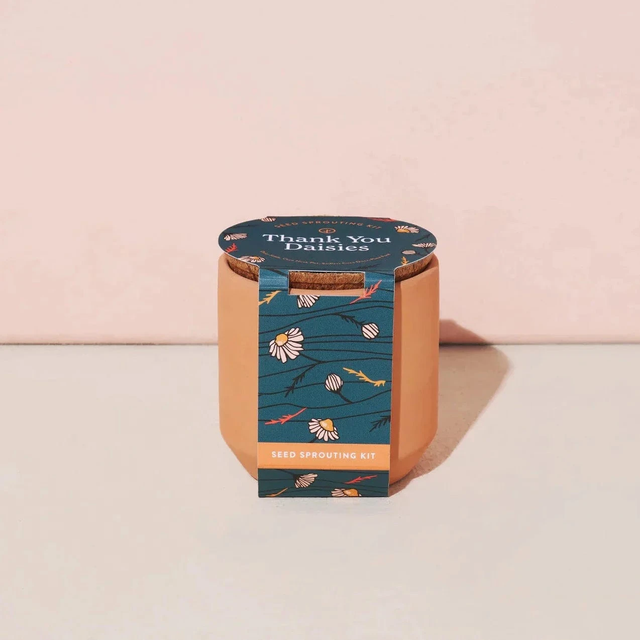 Tiny Terracotta Planter Kit 4 Tiny Terracotta Planter Kit - Image 4