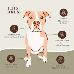 Paw Protection Dog Balm -Zero Waste Store natural dog company paw protection dog balm 33284835737711