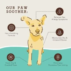 Paw Soother Dog Healing Balm -Zero Waste Store natural dog company paw soother dog healing balm 33284832231535