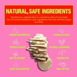 Papr Cosmetics Deodorant- Vegan, Aluminum Free, 8 Different Scents -Zero Waste Store paper cosmetics papr cosmetics deodorant vegan aluminum free 8 different scents 1155137038