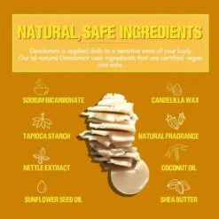 Papr Cosmetics Deodorant- Vegan, Aluminum Free, 8 Different Scents -Zero Waste Store paper cosmetics papr cosmetics deodorant vegan aluminum free 8 different scents 1155137039