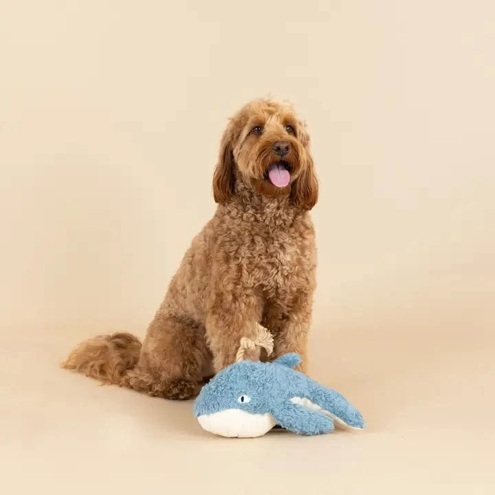Whale Dog Toy 1 Whale Dog Toy