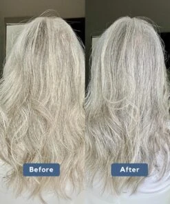 Refillable Purple Shampoo 10oz -Zero Waste Store plaine products purple shampoo 59614019649905