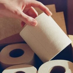 PlantPaper Bamboo 3 Ply Toilet Paper 14 PlantPaper Bamboo 3 Ply Toilet Paper -Zero Waste Store plantpaper plantpaper bamboo 3 ply toilet paper 29869815201903