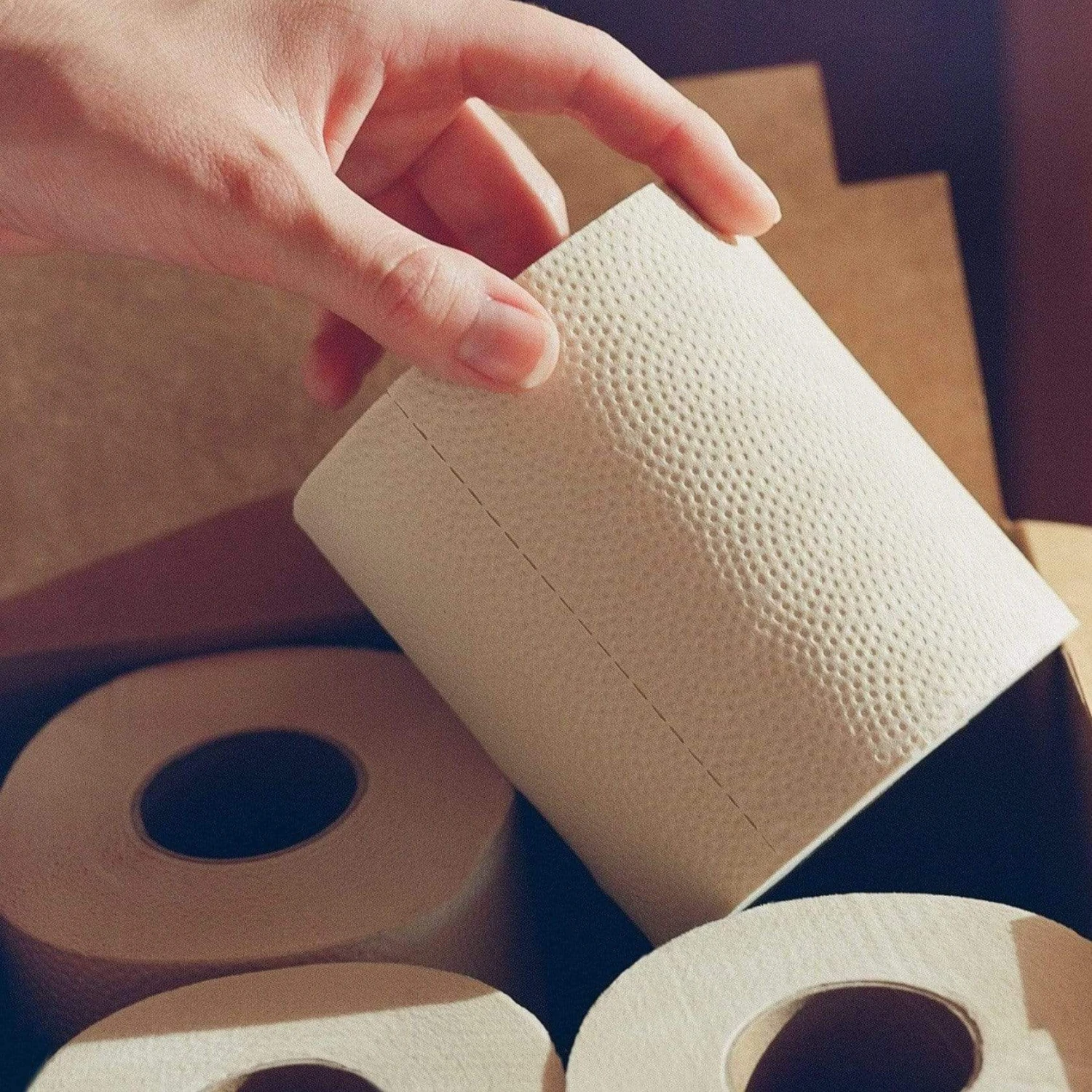 PlantPaper Bamboo 3 Ply Toilet Paper 7 PlantPaper Bamboo 3 Ply Toilet Paper - Image 7