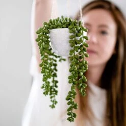 DIY Beginner Pottery Kit- Zero Waste Pottery, Sustainable Art + Creativity -Zero Waste Store pottery with a purpose diy beginner pottery kit zero waste pottery sustainable creativity 30223541796975