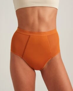 Leakproof French Cut High Waist Full Gusset 26 Leakproof French Cut High Waist Full Gusset -Zero Waste Store saalt heavy xxs amber stone leakproof french cut high waist full gusset 1170093058