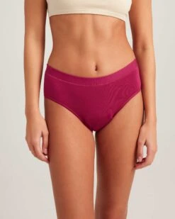 Leakproof Comfort Brief -Zero Waste Store saalt heavy xxs rich ruby leakproof comfort brief 1170093157