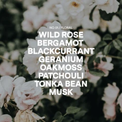 Bergamot, White Rose, Oakmoss Candle Refill Kit -Zero Waste Store siblings no 01 bergamot white rose oakmoss 1168157922