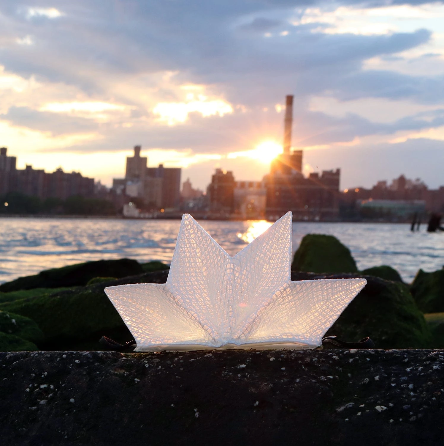 Solar-Powered Light + Power Bank: Solar QWNN 17 Solar-Powered Light + Power Bank: Solar QWNN - Image 17