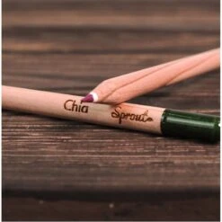 Plantable Colored Pencils 9 Plantable Colored Pencils -Zero Waste Store sprout plantable colored pencils 8pk 33212574498927