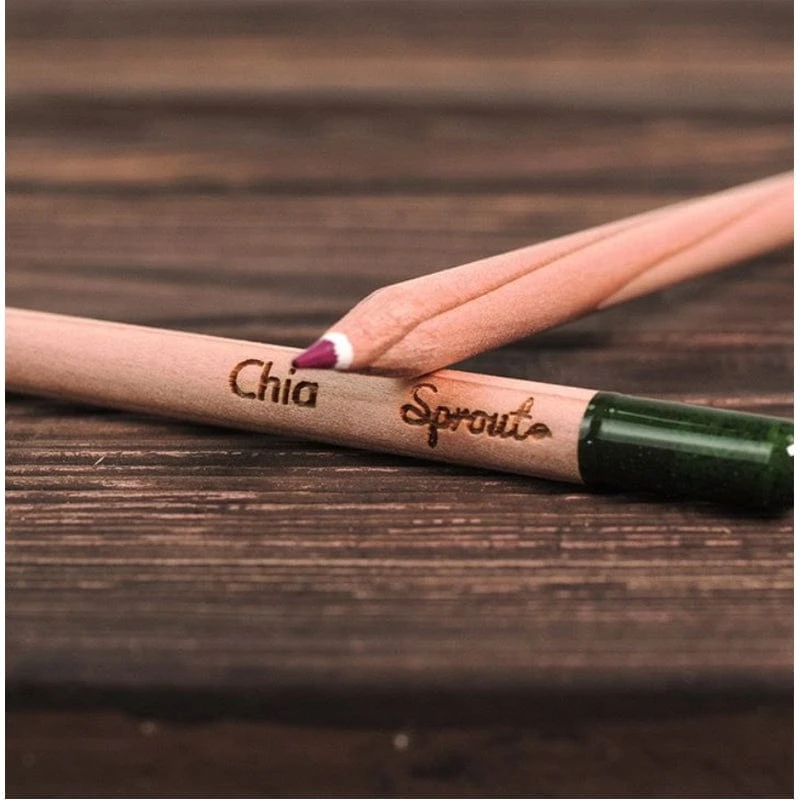 Plantable Colored Pencils 4 Plantable Colored Pencils - Image 4