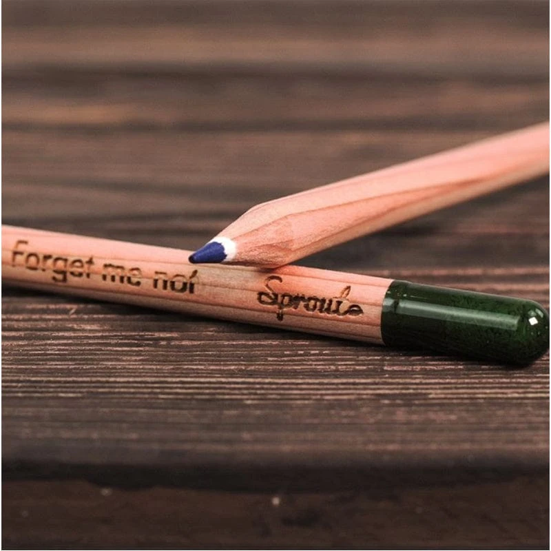 Plantable Colored Pencils 5 Plantable Colored Pencils - Image 5