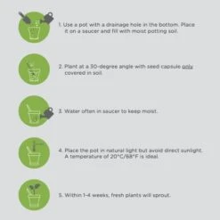 Plantable Colored Pencils 11 Plantable Colored Pencils -Zero Waste Store sprout plantable colored pencils 8pk 33212574597231