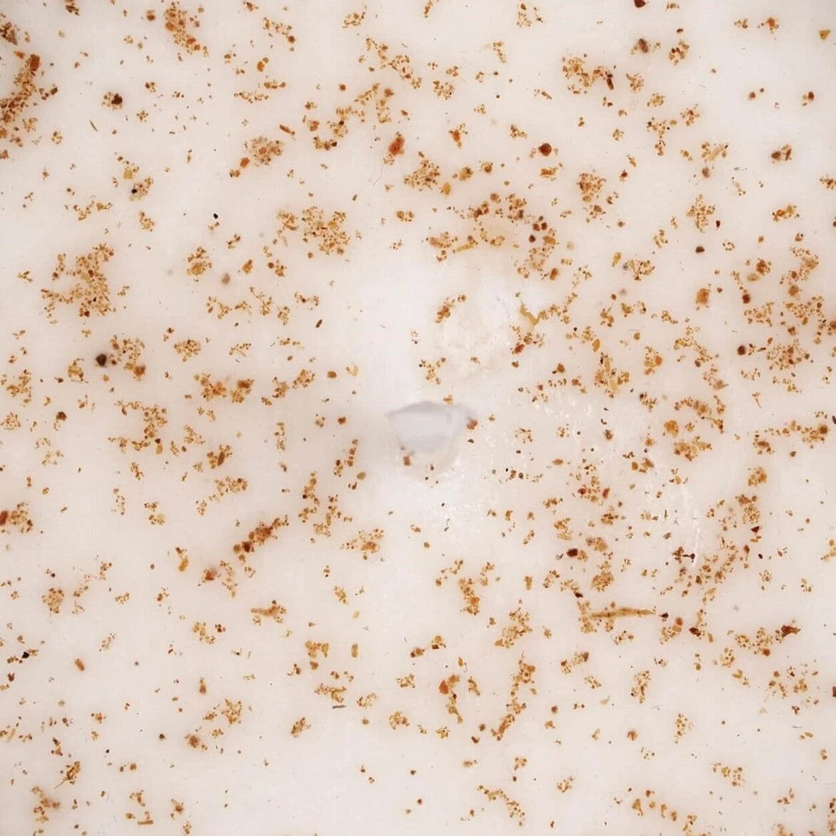 Soy Wax Candles 3 Soy Wax Candles - Image 3