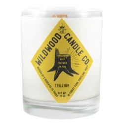 Wildwood Candle, Full Size, 11 Oz & Travel Size, 4oz. -Zero Waste Store wildwood candle co wildwood candle full size 11 oz travel size 4oz 32772047831151