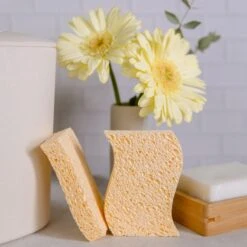Cellulose Kitchen Sponges -Zero Waste Store zero waste club biodegradable sponges zero waste sponges biodegradable 100 wood pulp 2 sponges 31137932148847