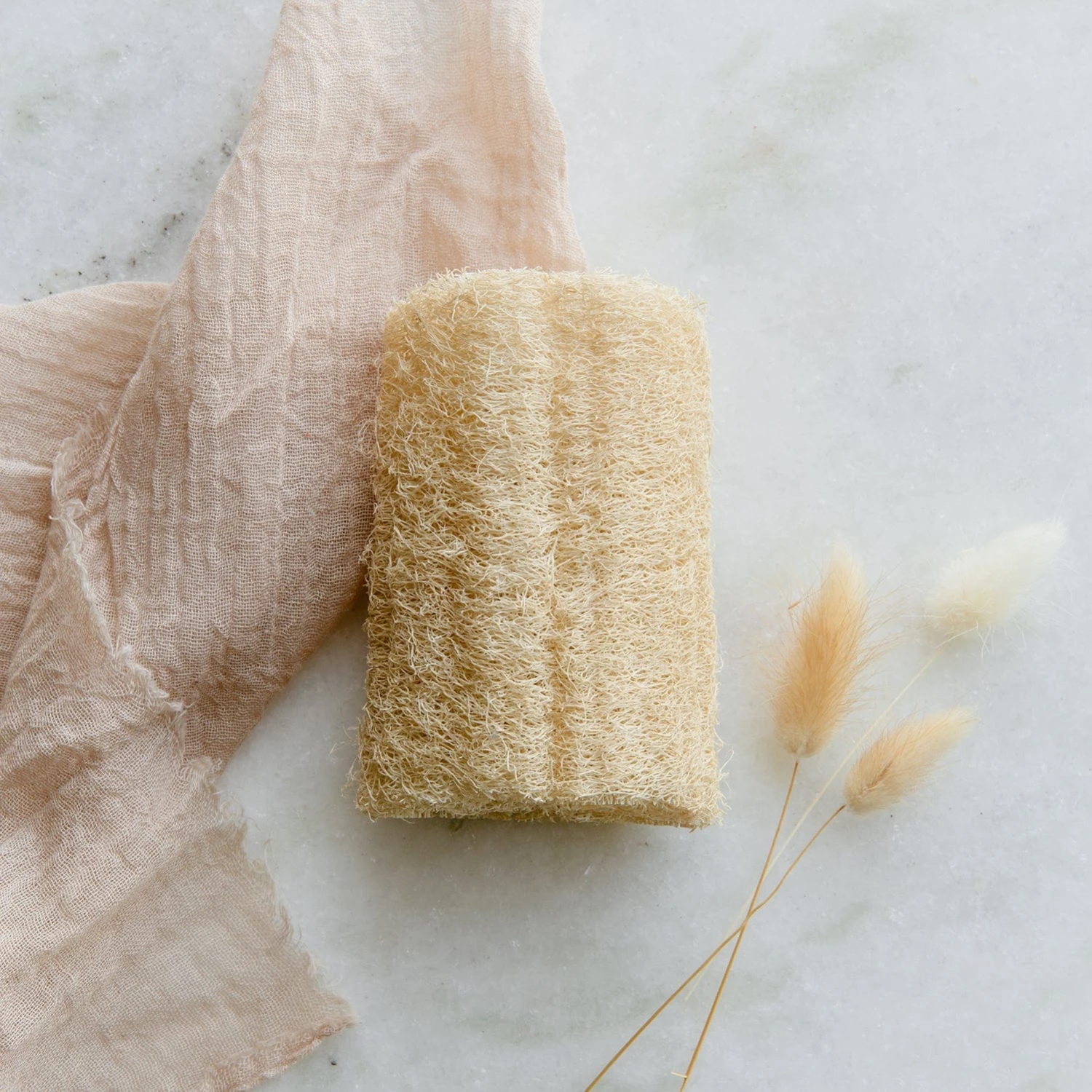 Loofah Sponge Pack 1 Loofah Sponge Pack