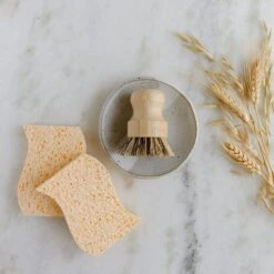 Dish Sponge Mini Kit